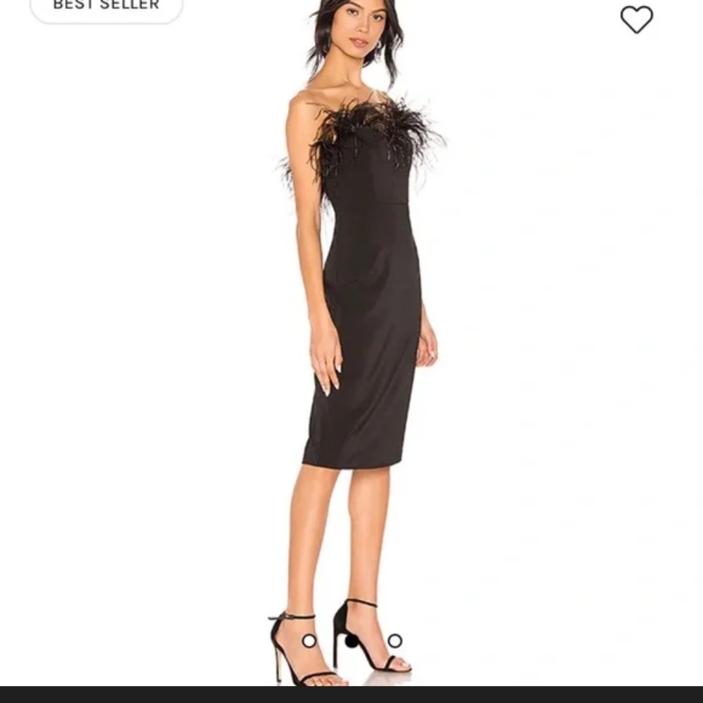 Nwt Lpa
Aurora Dress Black ostrich feather revolve L formal party evening $240 - Picture 2 of 7